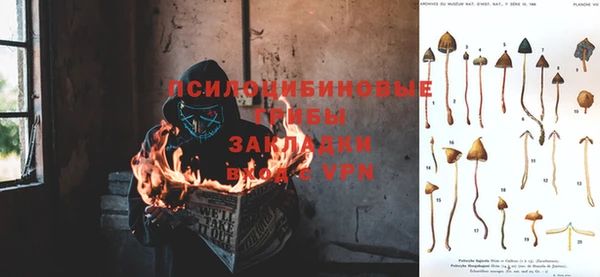таблы Кодинск
