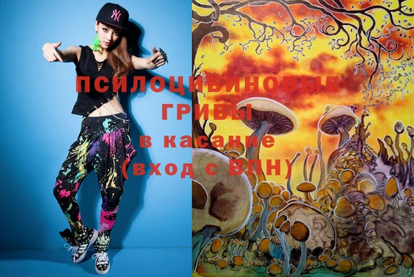 таблы Кодинск