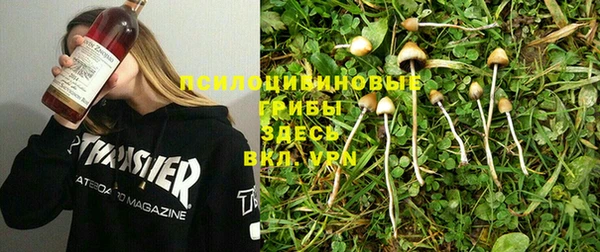 таблы Кодинск